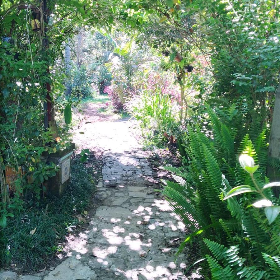 Sitio Sapiranga Daire Dış mekan fotoğraf